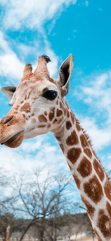 best places for solo travel