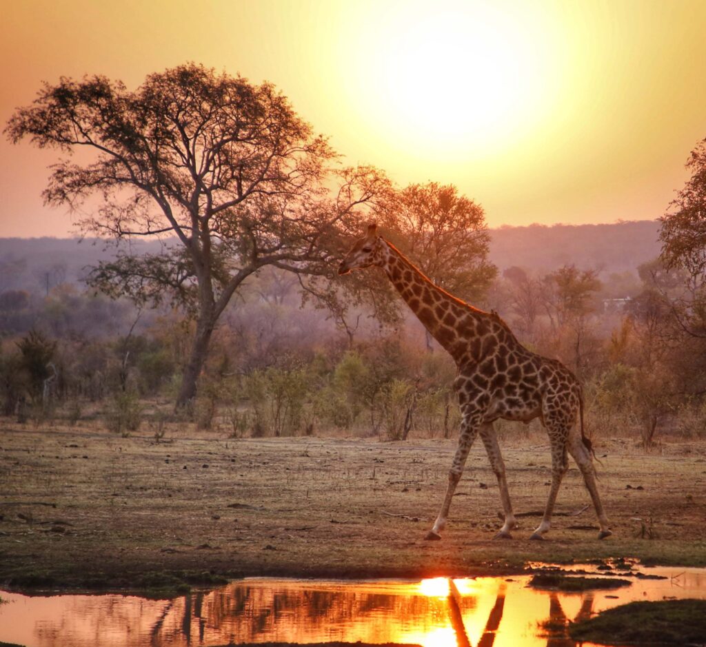 best places for solo travel