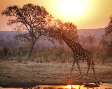 best places for solo travel